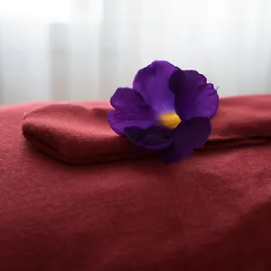 Villa East West, Hoi An